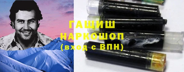 индика Арсеньев
